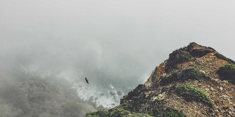 2024购车全攻略:新能源汽车选购与价格趋势深度解析