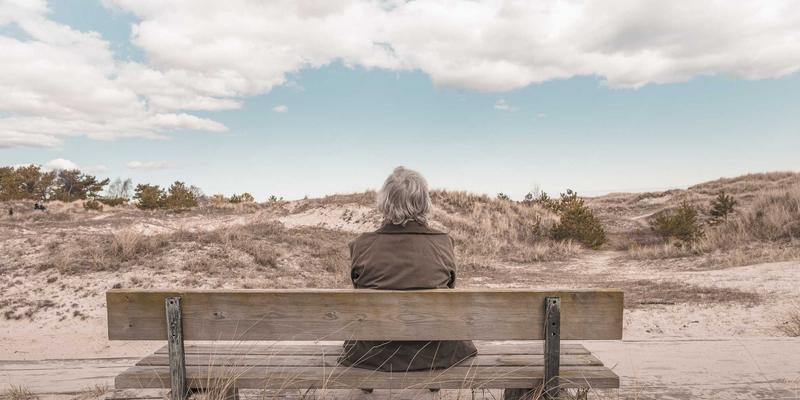 2024购车指南:从价格解析到保养攻略,全面解读新能源汽车趋势