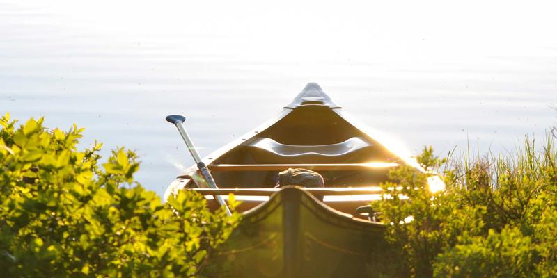 二手车避坑全攻略：如何通过VIN码和检测报告识别事故车与水泡车？