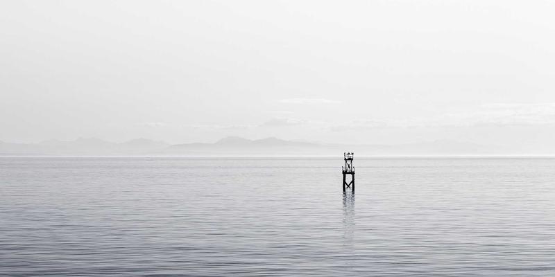 新能源汽车全攻略：从选购到保养的智慧指南