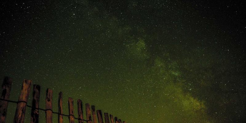 新能源汽车选购全攻略：2024热门车型评测与购车指南