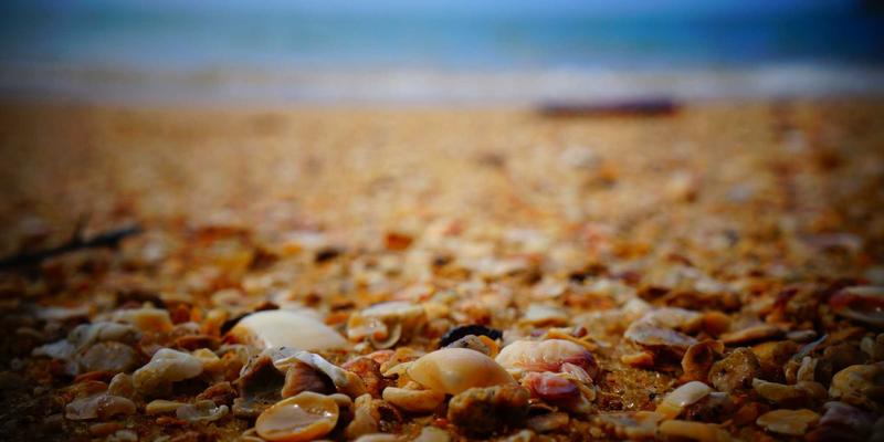 汽车保值率深度分析：三年后哪些品牌和车型最值钱？