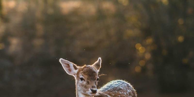 汽车保养周期与项目完全手册：别再被4S店过度保养，车型评测与价格都该这么看
