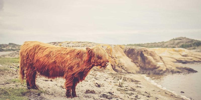 汽车保养、新能源汽车与价格趋势：2024年车主全攻略