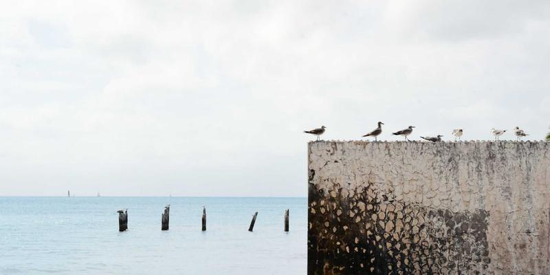 汽车保养新趋势：新能源汽车时代，如何兼顾养护与性能评测