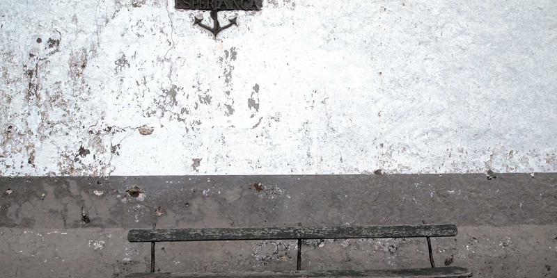 汽车资讯全解析：从价格趋势到保养秘籍，助您成为精明车主