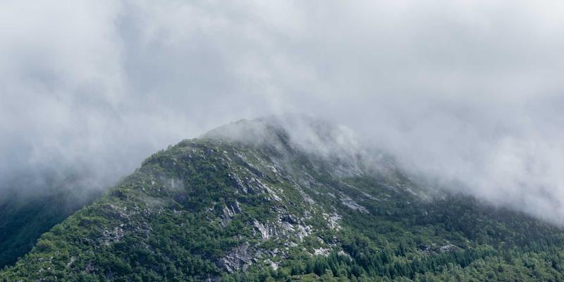 汽车音响系统深度横评：B&O、Bose、柏林之声与宝华韦健，不同价位车型的实际听感差异