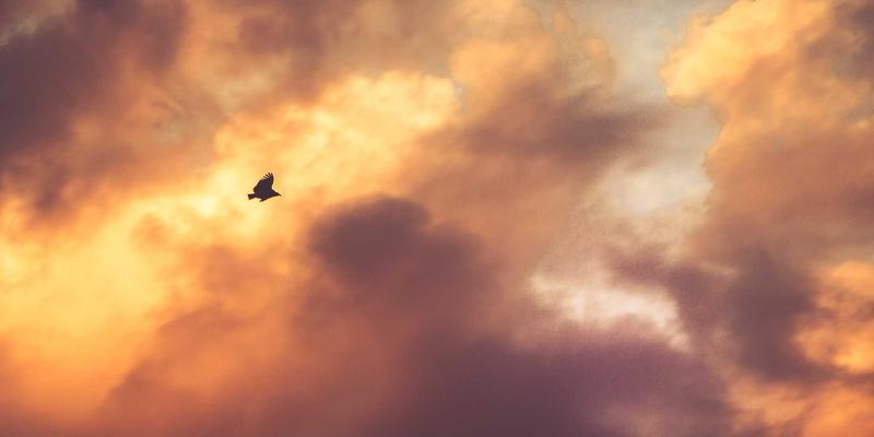 购车指南 | 汽车保值率深度分析：哪些品牌和车型最保值？新能源汽车表现如何？