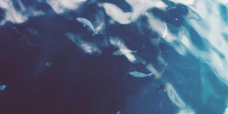 购车指南：深度解析鸿蒙OS、NOMI与小鹏Xmart OS，谁才是智能座舱的终极答案？