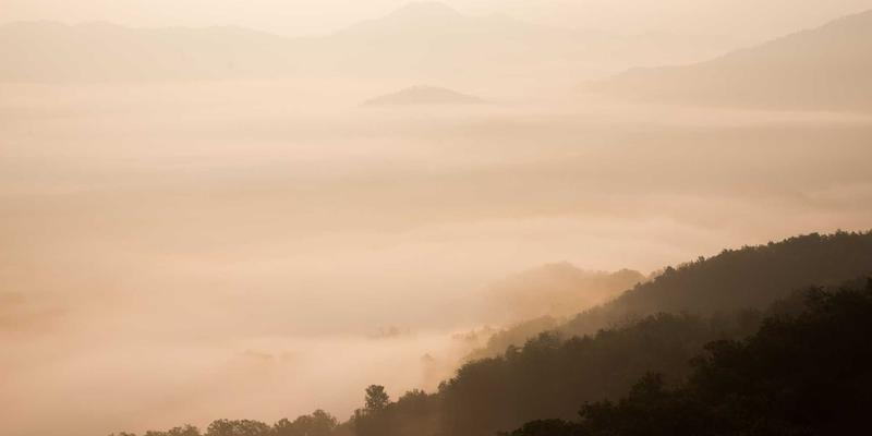 轮胎选购与更换终极指南：从车型评测到品牌性能差异全解析